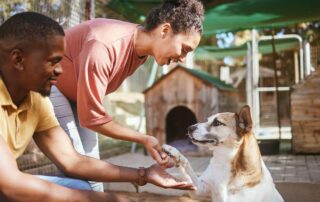 Casal adotando um cão em um canil