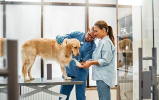 cão sendo examinado pelo veterinário na companhia de sua tutora