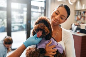 tutora segurando cãozinho o entregando para a preparação antes de ser internado