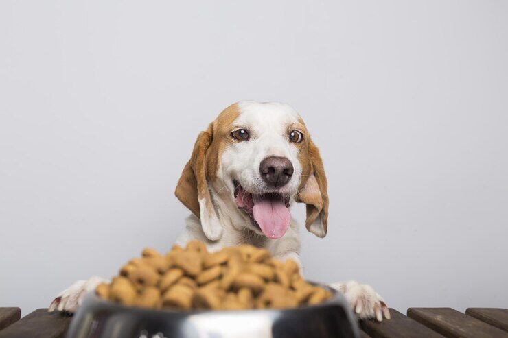 Alimentação e saúde bucal