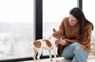 Tutora e pet sentados próximo a janela de um apartamento